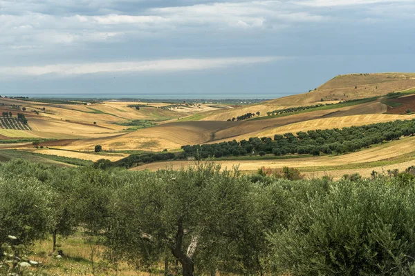 Landskap nära Serracapriola, Apulien, Italien — Stockfoto