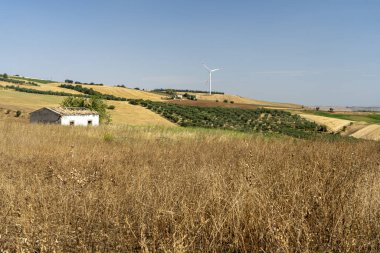 Yazın Basilicata 'da kırsal alan