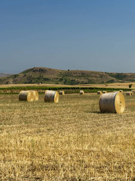 Paisaje rural en Basilicata en verano —  Fotos de Stock