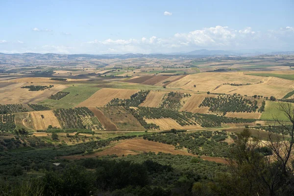 意大利Apulia Serracapriola的农村景观 — 图库照片