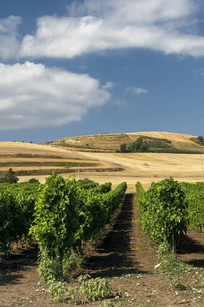 Krajobraz wiejski w Basilicata latem — Zdjęcie stockowe