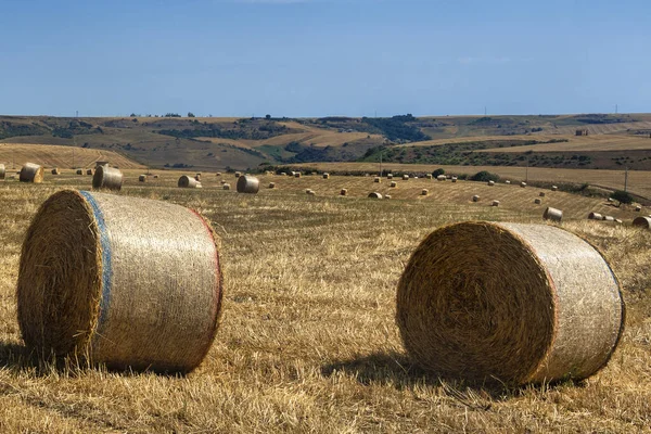 Paesaggio rurale in Basilicata in estate — Foto Stock