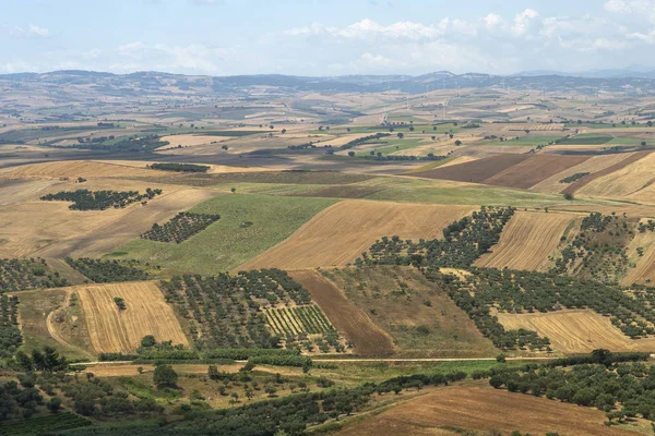 イタリア、プーリア州セラカプリオラから農村風景 — ストック写真