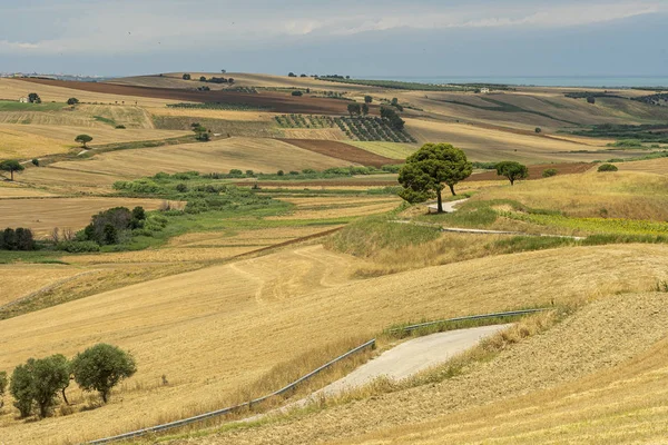 Krajobraz wiejski w pobliżu Serracapriola, Apulia, Włochy — Zdjęcie stockowe