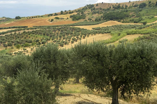 Ländliche landschaft bei serracapriola, apulien, italien — Stockfoto