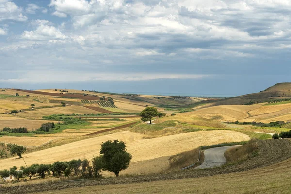 Krajobraz wiejski w pobliżu Serracapriola, Apulia, Włochy — Zdjęcie stockowe