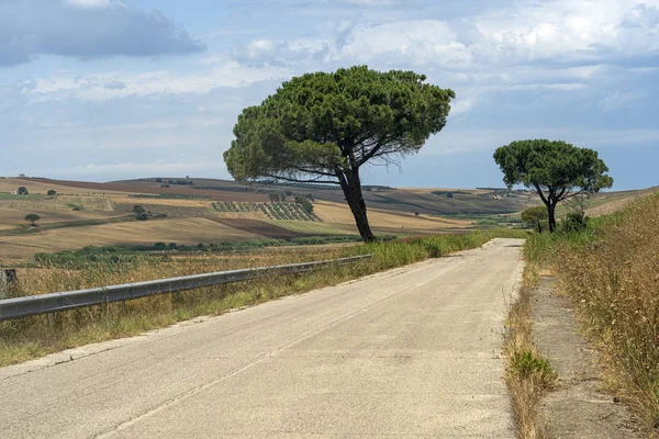 Venkovská krajina v blízkosti Serracapriola, Apulia, Itálie — Stock fotografie