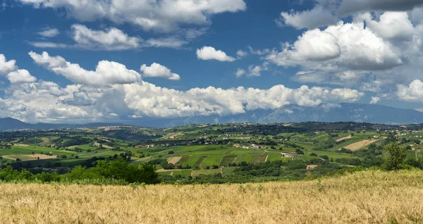 Abruzzo Vasto附近的农村景观 — 图库照片