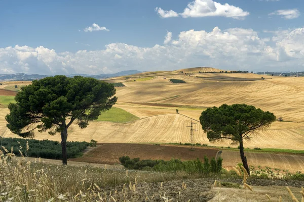 Αγροτικό τοπίο κοντά στη Serracapriola, Apulia, Ιταλία — Φωτογραφία Αρχείου