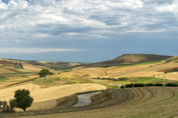 意大利Apulia Serracapriola附近的农村景观 — 图库照片