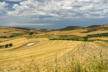Yazın Serracapriola, Foggia, Apulia, Güney İtalya yakınlarındaki kırsal alan.