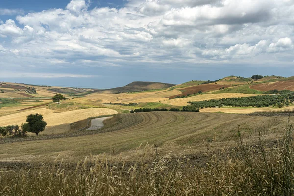 夏のセラカプリオラ フォッジャ プーリア州 南イタリアの近くの農村風景 — ストック写真