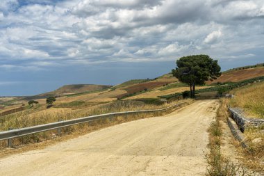 Yazın Serracapriola, Foggia, Apulia, Güney İtalya yakınlarındaki kırsal alan.