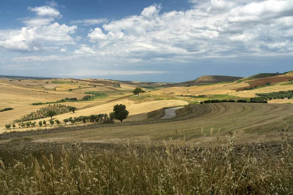 Paisagem Rural Perto Serracapriola Foggia Apúlia Sul Itália Verão — Fotografia de Stock