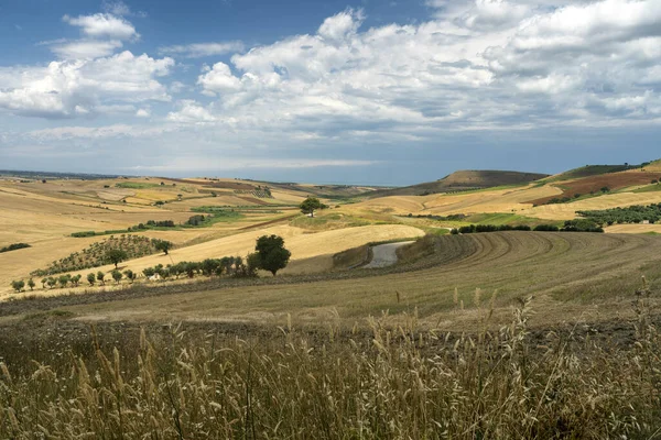 Ländliche Landschaft Der Nähe Von Serracapriola Nebel Apulien Süditalien Sommer — Stockfoto