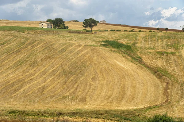 Paisaje Rural Cerca Serracapriola Foggia Apulia Sur Italia Verano — Foto de Stock