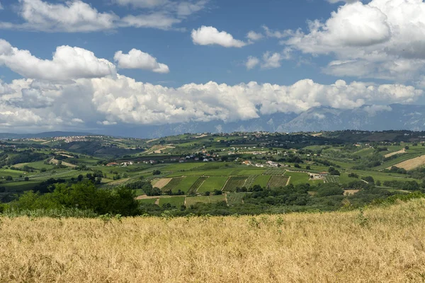 Landsbygdslandskap Nära Västero Chieti Abruzzo Italien Sommaren — Stockfoto