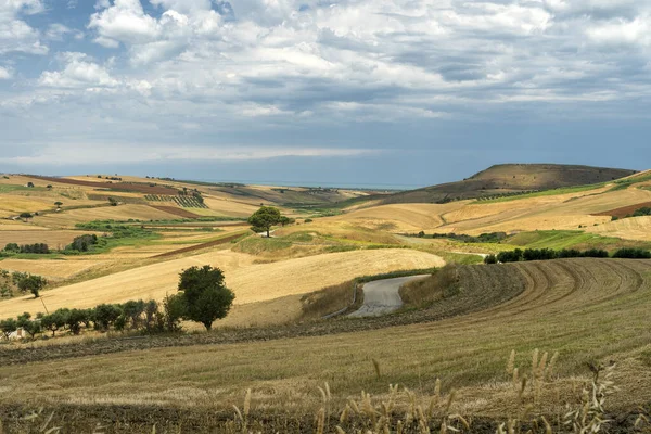 Landsbygdslandskap Nära Serracapriola Foggia Apulien Södra Italien Sommaren — Stockfoto