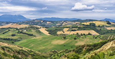 Natural Park of Atri, Teramo, Abruzzo, Italy: landscape of calanques at summer