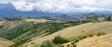 Natural Park of Atri, Teramo, Abruzzo, Italy: landscape of calanques at summer