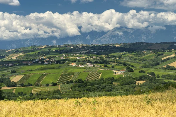 Venkovská Krajina Poblíž Vasto Chieti Abruzzo Itálie Létě — Stock fotografie