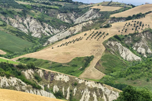 Natural Park Atri Teramo Abruzzo Italy Landscape Calanques Summer — 图库照片