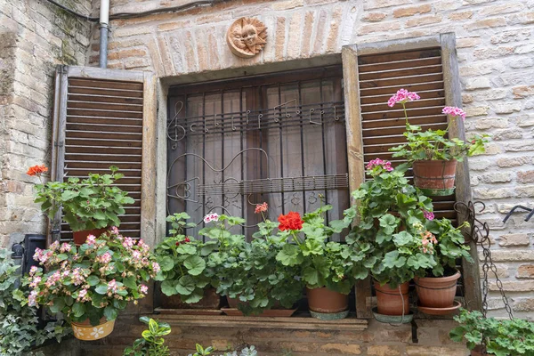 Atri Teramo Abruzzo Italy Exterior Old Typical House Plants Flowers — стокове фото