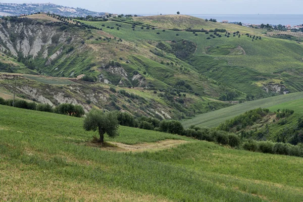 Природный Парк Атри Терамо Абруццо Италия Пейзаж Каланков Летом — стоковое фото