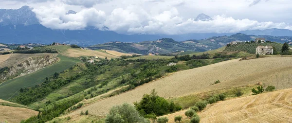 Parc Naturel Atri Teramo Abruzzes Italie Paysage Calanques Été — Photo