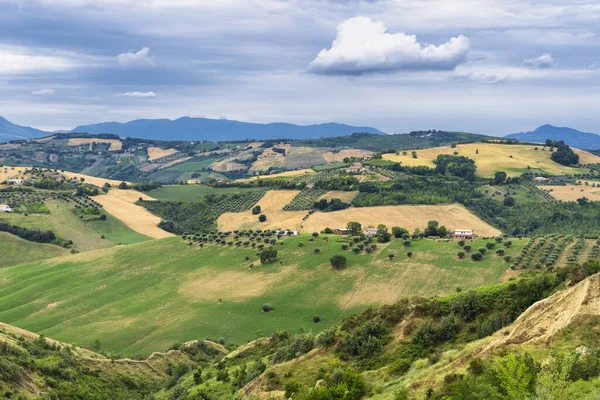 Natural Park Atri Teramo Abruzzo Italy Landscape Calanques Summer — Stock fotografie