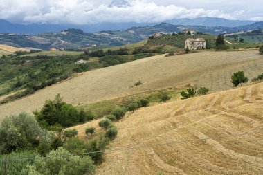 Natural Park of Atri, Teramo, Abruzzo, Italy: landscape of calanques at summer