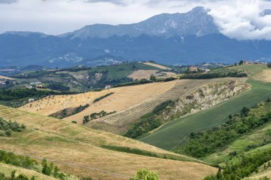 Natural Park of Atri, Teramo, Abruzzo, Italy: landscape of calanques at summer
