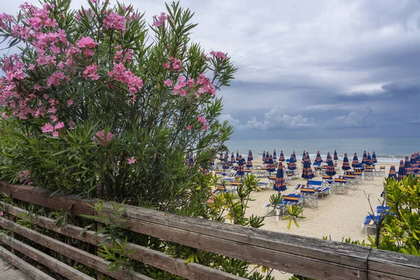 Giulianova Teramo Abruzzi Italy Beach Summer — Stok fotoğraf