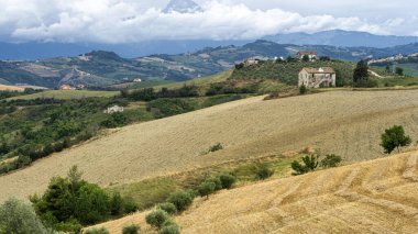 Natural Park of Atri, Teramo, Abruzzo, Italy: landscape of calanques at summer