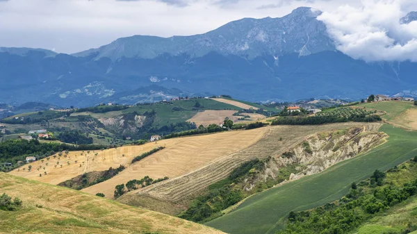 Natural Park Atri Teramo Abruzzo Italy Landscape Calanques Summer — Stockfoto