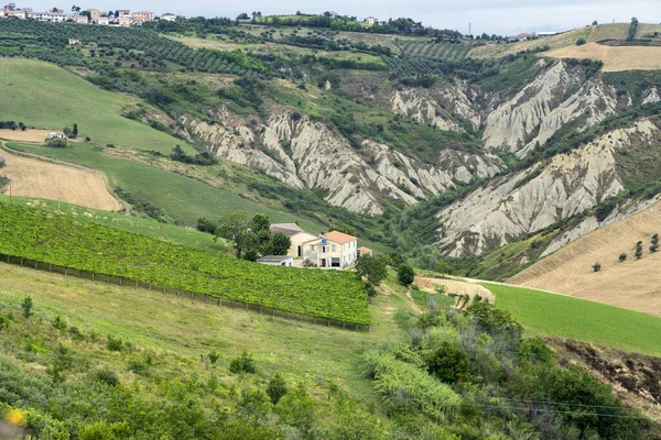 Natural Park Atri Teramo Abruzzo Italy Landscape Calanques Summer — Stok fotoğraf