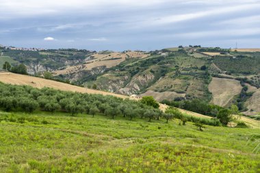 Natural Park of Atri, Teramo, Abruzzo, Italy: landscape of calanques at summer