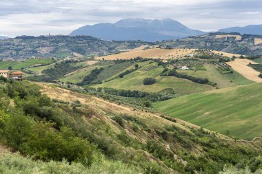 Natural Park of Atri, Teramo, Abruzzo, Italy: landscape of calanques at summer
