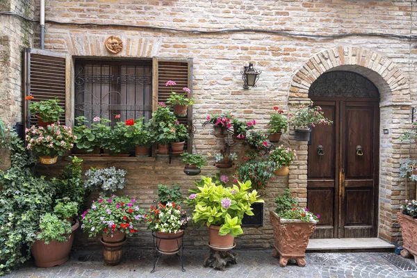 Atri Teramo Abruzzo Italy Exterior Old Typical House Plants Flowers — Zdjęcie stockowe