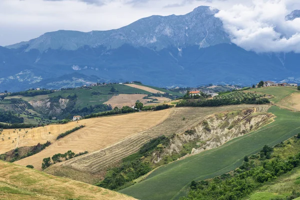Natural Park Atri Teramo Abruzzo Italy Landscape Calanques Summer — стокове фото