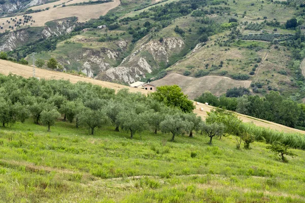 Natural Park Atri Teramo Abruzzo Italy Landscape Calanques Summer — Stock fotografie