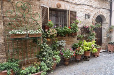 Atri, Teramo, Abruzzo, Italy: exterior of old typical house with plants and flowers