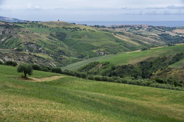 Natural Park Atri Teramo Abruzzo Italy Landscape Calanques Summer — стокове фото