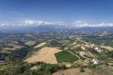 Yazın Ripatransone, Ascoli Piceno, Marches, İtalya 'dan kırsal alan
