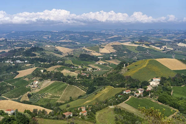 Landsbygdslandskap Sommaren Från Ripatransone Ascoli Piceno Marches Italien — Stockfoto