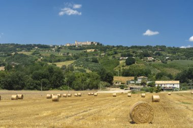 Yazın Monterubbiano, Fermo, Marches, İtalya yakınlarındaki kırsal alan