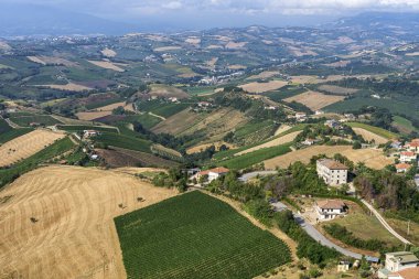 Yazın Ripatransone, Ascoli Piceno, Marches, İtalya 'dan kırsal alan