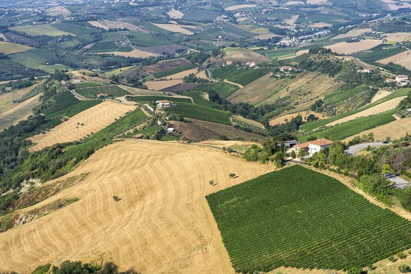 意大利 Ascoli Piceno Ripatransone夏季的农村景观 — 图库照片