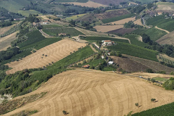 Landsbygdslandskap Sommaren Från Ripatransone Ascoli Piceno Marches Italien — Stockfoto