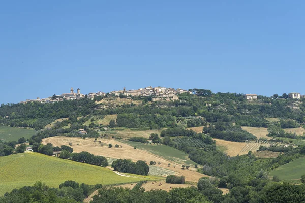 Ländliche Landschaft Sommer Der Nähe Von Monterubbiano Fermo Marken Italien — Stockfoto